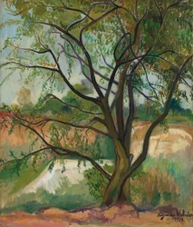 Drzewo, 1912.