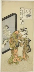 Pallot Komachi (Om Komachi), z Te Serie s Te Seven Fasio na spekty Komachi (Furu Yatsu City 7 Komachi)