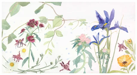 Iris i Sweet Williams, 2020 (akwarela na papierze)
