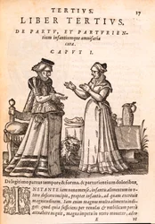 Pielęgniarka opiekująca się pacjentem z ranną ręką, z De Concepta et Generatione Hominis autorstwa Jakoba Rufa, 1587 (druk i drzeworyt na papierze)