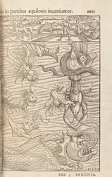 Strona 1005 z Cosmographiae Universalis Sebastiana Muenstera, Bazylea, 1572