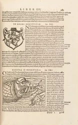 Strona 983 z Cosmographiae Universalis Sebastiana Muenstera, Bazylea, 1572