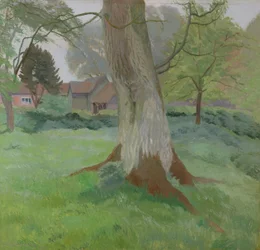 Drzewo Orzechowe