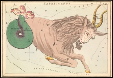 Capricornus, ok. 1825 (karta, papier, bibułka)