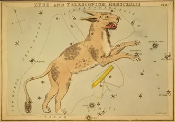 Ryś i Telescopium Herschilii, ilustracja z „Zwierciadła Urania”