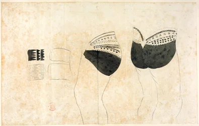 Zbiór rysunków autorstwa A. Buchana, S. Parkinsona i J. F. Millera, wykonanych w krajach odwiedzonych przez kapitana Jamesa Cooka podczas jego Pierwszej Podróży (1768-71), a także grafik opublikowanych w "Voyages of Biron (Byron), Wallis, and Cook" Johna H