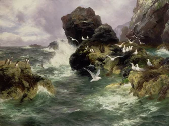 Oweans Surge, 1900