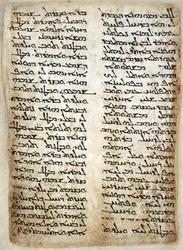 Dodać. 14425, f.31, Strona tekstowa z Pięcioksięgu. (Rodzaju, Wyjścia, Liczb, Powtórzonego Prawa), 464 (welum)