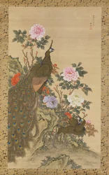 Pawie i piwonie, 1820