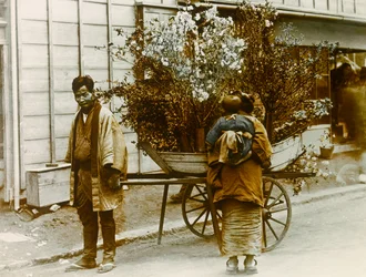 Wędrowny sprzedawca kwiatów na ulicach Tokio, około 1900-1915 (zdjęcie)