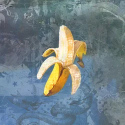 BANANAZ, 2015 (Kolaż na płótnie)