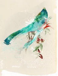 Sylwetka ptaka, 2017 (kolaż na płótnie)