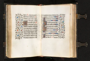 Book of Hours Korzystanie z Paryża: Fol. 105v, inicjał D ze zdobioną ramką, c. 1420.