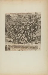 Crudelitas Petride Calyce Erga Indos. III. (z książki Americae, część czwarta)