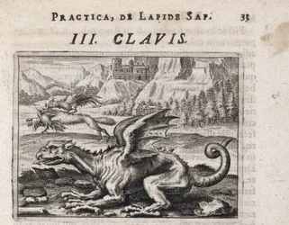 Smok, w tle wilk kradnący kury, zaatakowany przez koguta - Rycina Theodore de Bry (1528-1598), do traktatu alchemicznego "Tripus avreus, hoc est, Tres tractatus chymici selectissimi" Michaela Maiera (1569-1622)