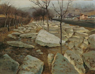 Lodowa kry na brzegach Thaya