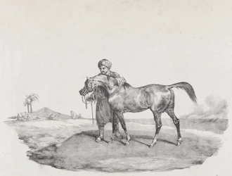 Koń arabski, 1821
