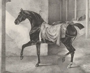Czarny koń uwiązany w stajni, 1822