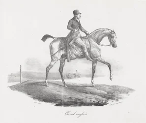 Koń angielski (An English Horse)