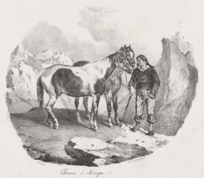 Konie z Owernii (Auvergne Horses)