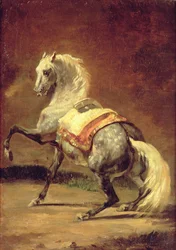 Pstrokaty Szary Koń