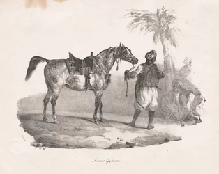 Egipski Mare