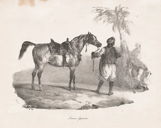 Klacz egipska, 1822.