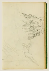 Widok z przodu na siedzącego lwa