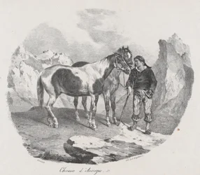 Konie Owernii, 1822.