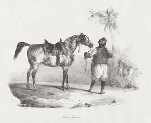 Klacz egipska (An Egyptian Mare)