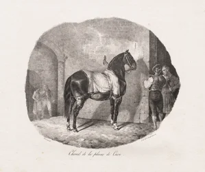 Studia litograficzne koni: Pl. 7, Koń z równiny Caen, 1822.