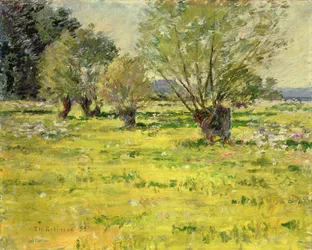 Wiosna