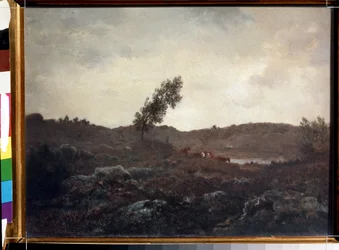 Widok Barbizon (Widok Barbizon). Obraz Theodore Rousseau (1812-1867). Olej na drewnie, 24 x 32 cm, koniec 1840 r. Francuska Szkoła Barbizon. Muzeum Sztuk Pięknych im. Puszkina w Moskwie.