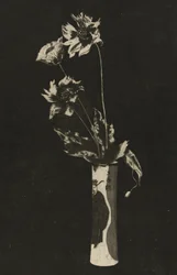 La Chine (wersja kolorowa)