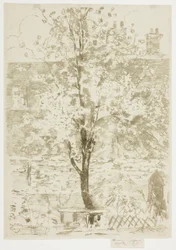 Wiosna