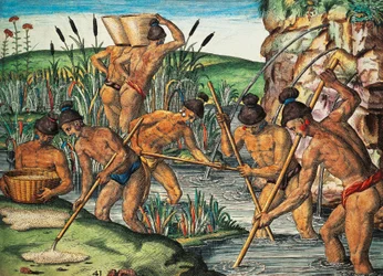 Poszukiwacze złota na Florydzie, kolorowa rycina Theodora de Bry (1528-1598) z obrazu Jacques le Moyne de Morgues (ok. 1533-przed 1588), z Brevis Narratio