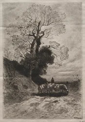 Powrót stada, ok. godz. 1870.