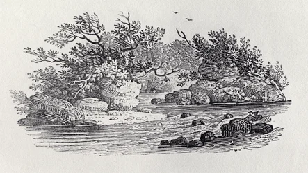Zakręt w rzece z „Historia ptaków brytyjskich, tom 2: Ptaki wodne”, 1804