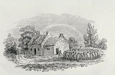 Walka kogutów przed gospodą, ok. 1801, z „Landbirds”, opublikowanego w 1805