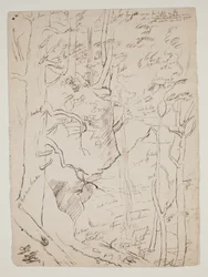 Kaaterskill Falls, ok.1801-48 (pióro i brązowy atrament)