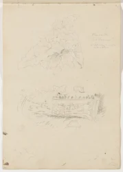 Roślina w Koloseum; fragment architektury