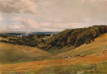 Park Arundel, z Jeleniem, 1880