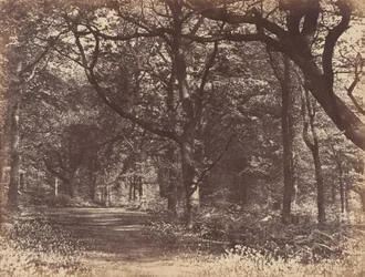 Scena z drewna, Norton, Cheshire, 1856.