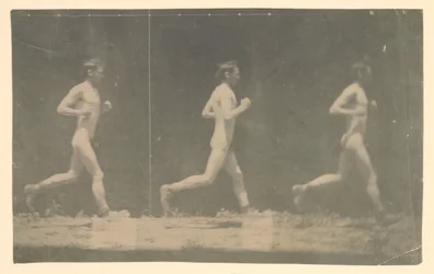 Fotografie Marey Wheel niezidentyfikowanego modelu, 1884.