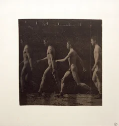 Fotografie Marey Wheel niezidentyfikowanego modelu, c. 1884.