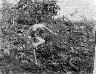 Ściągacz cierni, c. 1883.