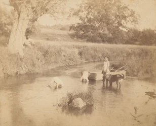 [Trzy dzieci i pies bawiące się w potoku, 4 lipca 1883, 1883., 1883.