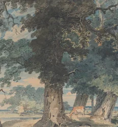 Jeleń w Lesie Windsor, 1793-94.