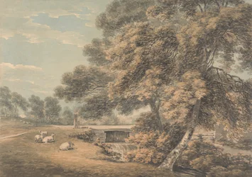 Drzewa i rzeka w parku w Coleorton Hall, Leicestershire
