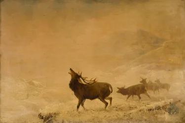 Tak daleko, 1883